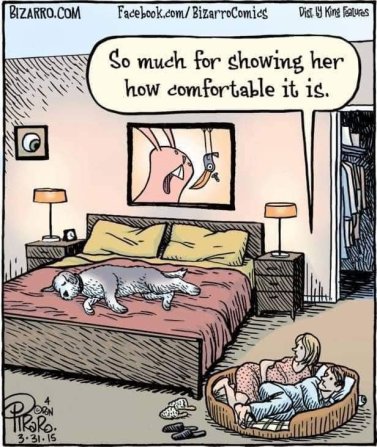 fb_img_16821902921992474262225806379525