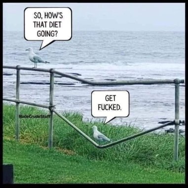 fb_img_16821905087146633797869291068497