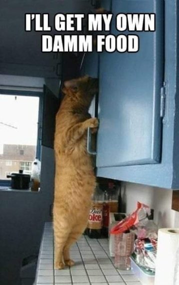 fb_img_16822273730773673272100296934617