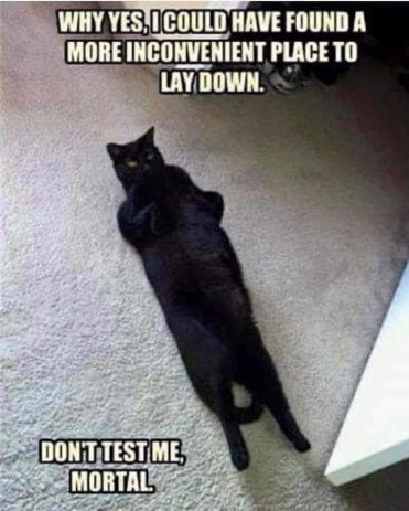 fb_img_16822275712297364527925648742212