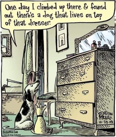 fb_img_16824799451364404318248538722197