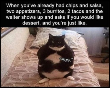 fb_img_1682631785957909393419309948588