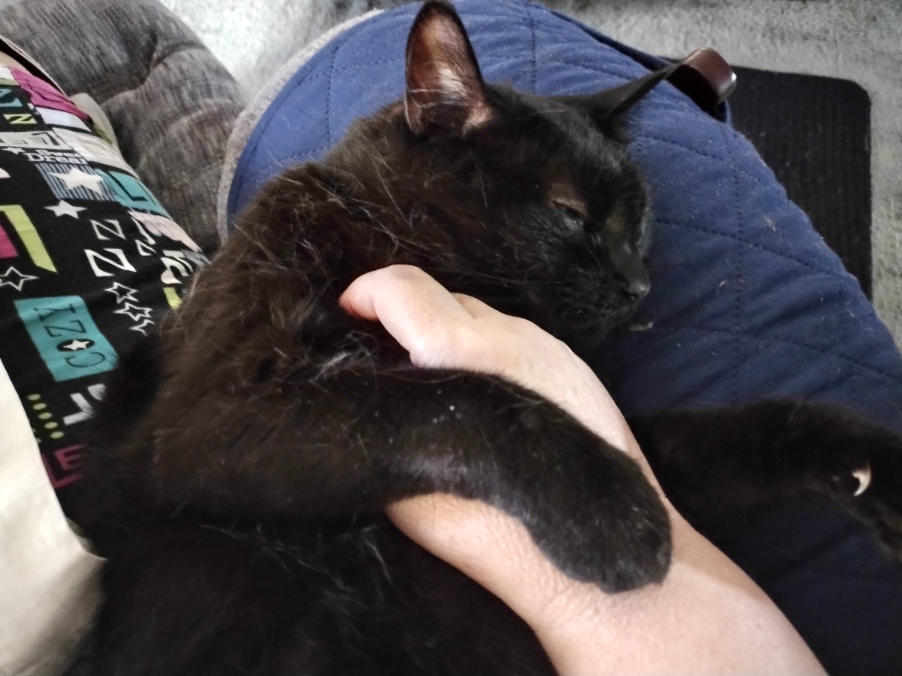 img_20220925_0849532904032091460368817921