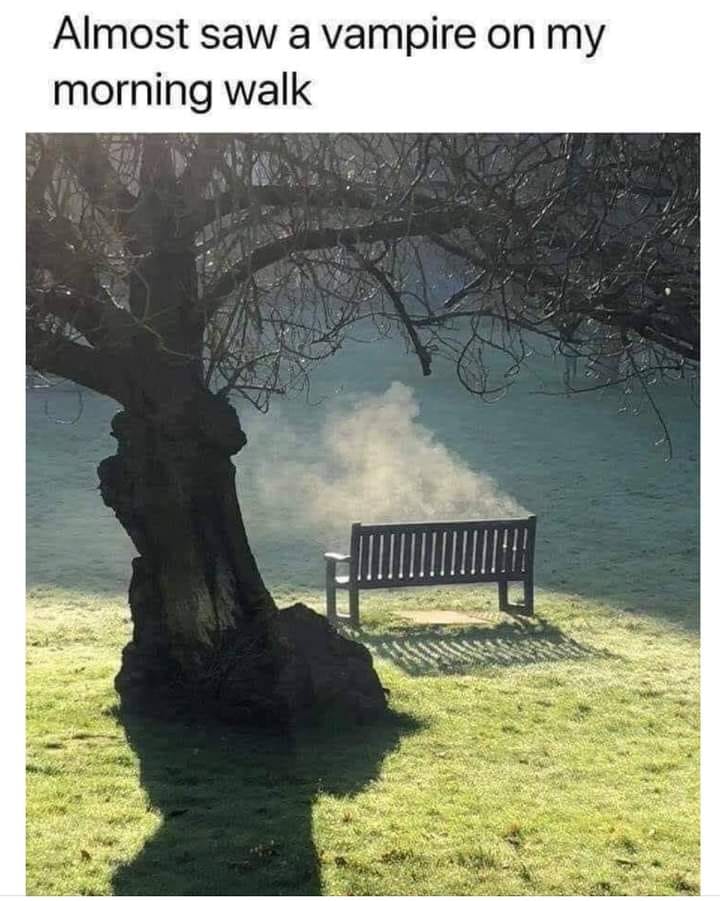 343093907_778945920407337_1672656740672629894_n