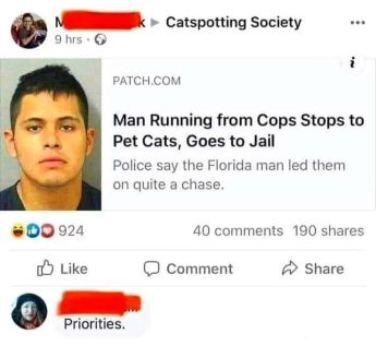 343103074_239728818597289_8036728776069459318_n