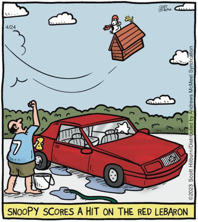 344823985_649205617037675_7365480199276479161_n