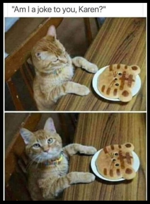 344827770_3115690778733214_646368467360351769_n