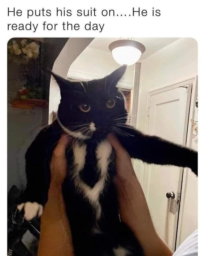 345039458_1459256774813659_7355947720662671822_n