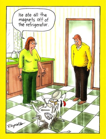 345317593_924026238927455_9189113131194007478_n