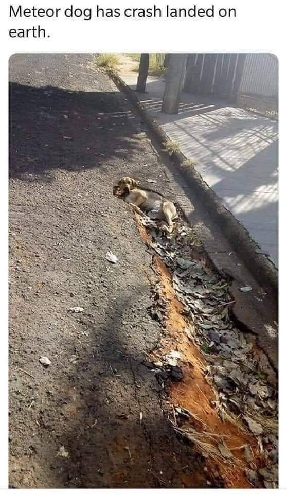 fb_img_16836585606423741206801295455715