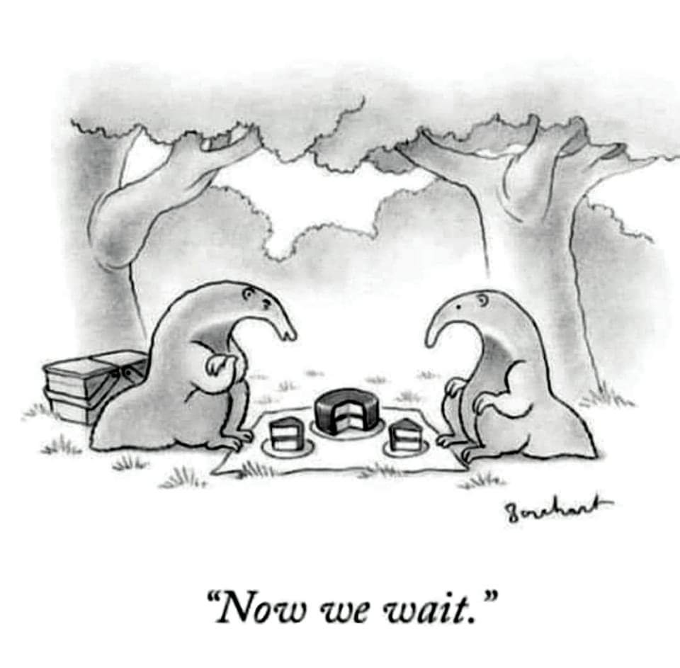 fb_img_1685160924072200579066236965854