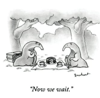 fb_img_1685160924072200579066236965854