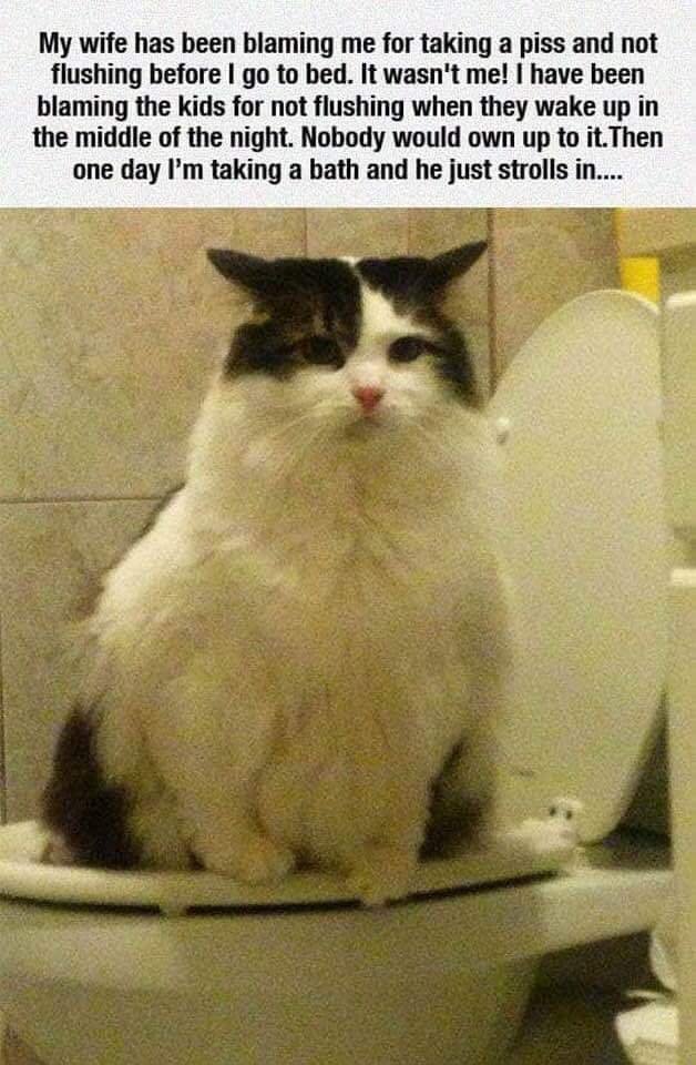 fb_img_16851609306138171694063780872524