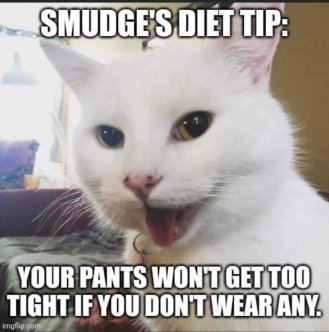 fb_img_16852006820951352113591009154162