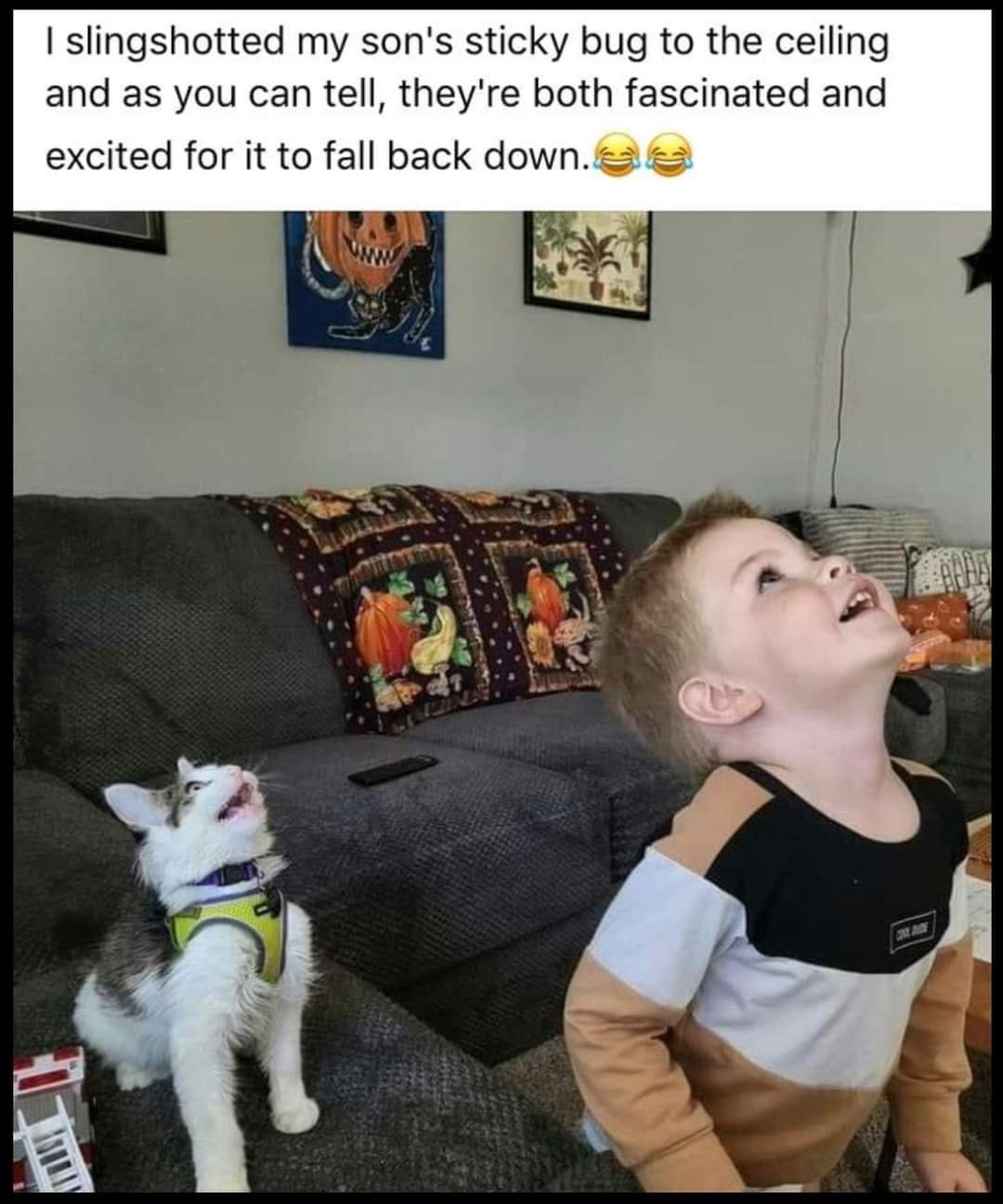 fb_img_16856448835926936965304225545238