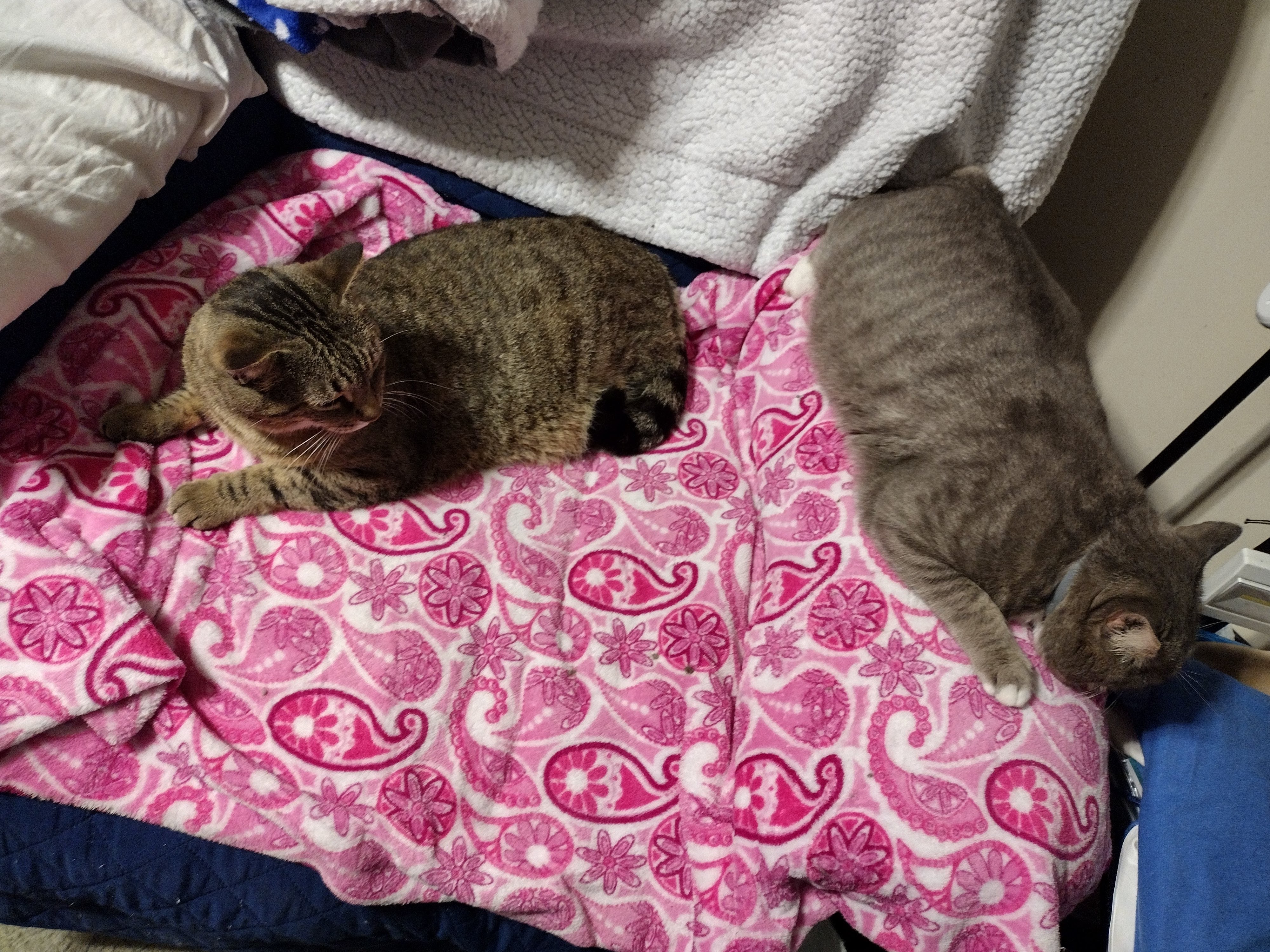 IMG_20230120_172653424_HDR