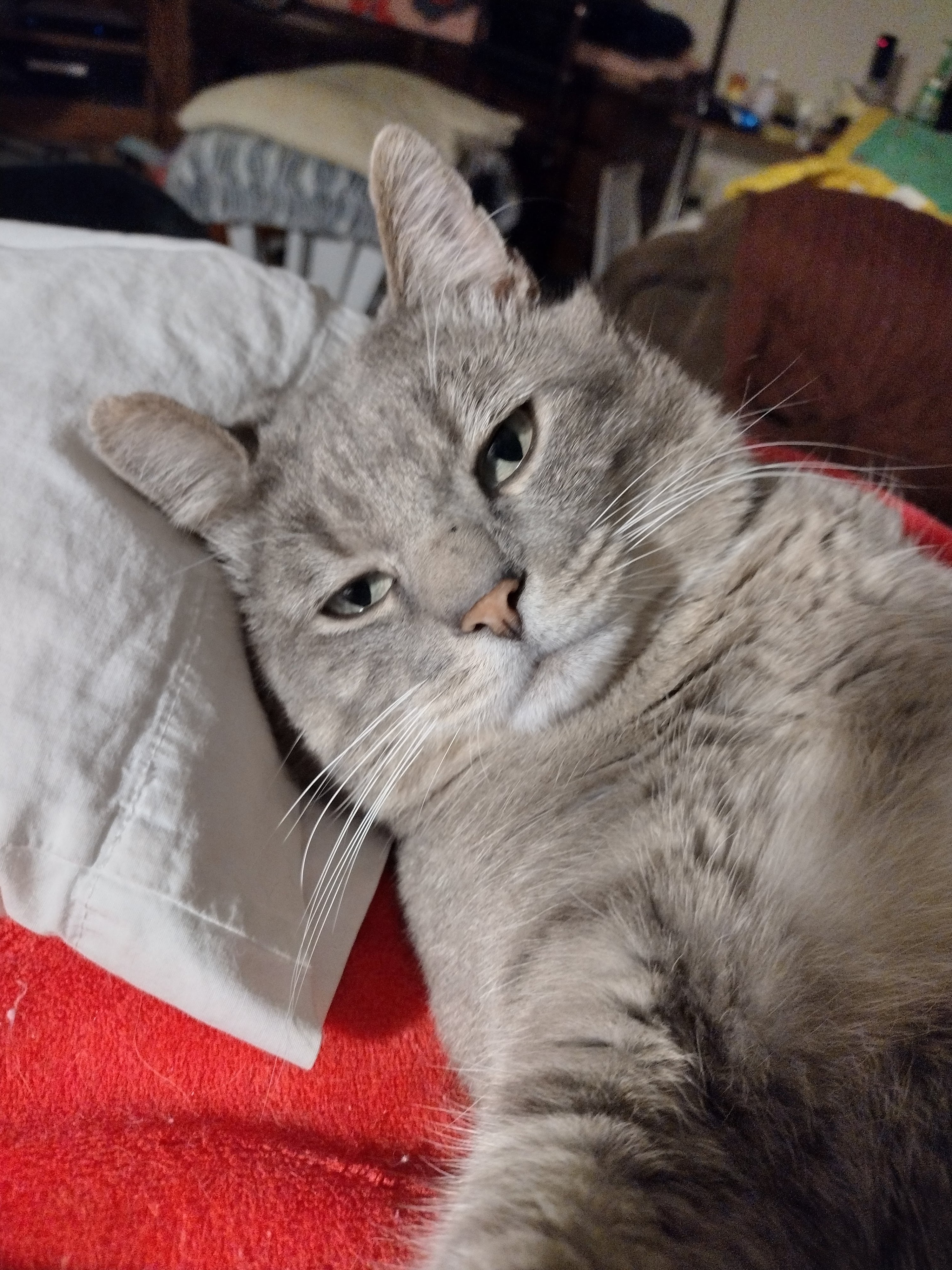 IMG_20230423_014429134_HDR