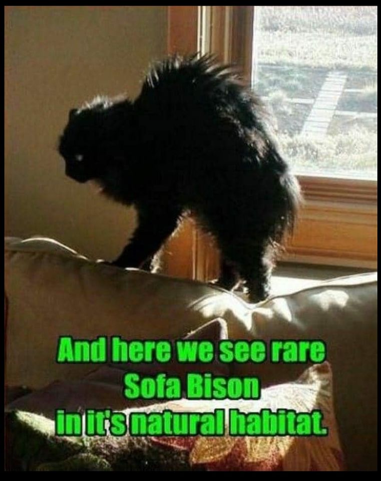 356226864_667395168764007_6110544376056505153_n