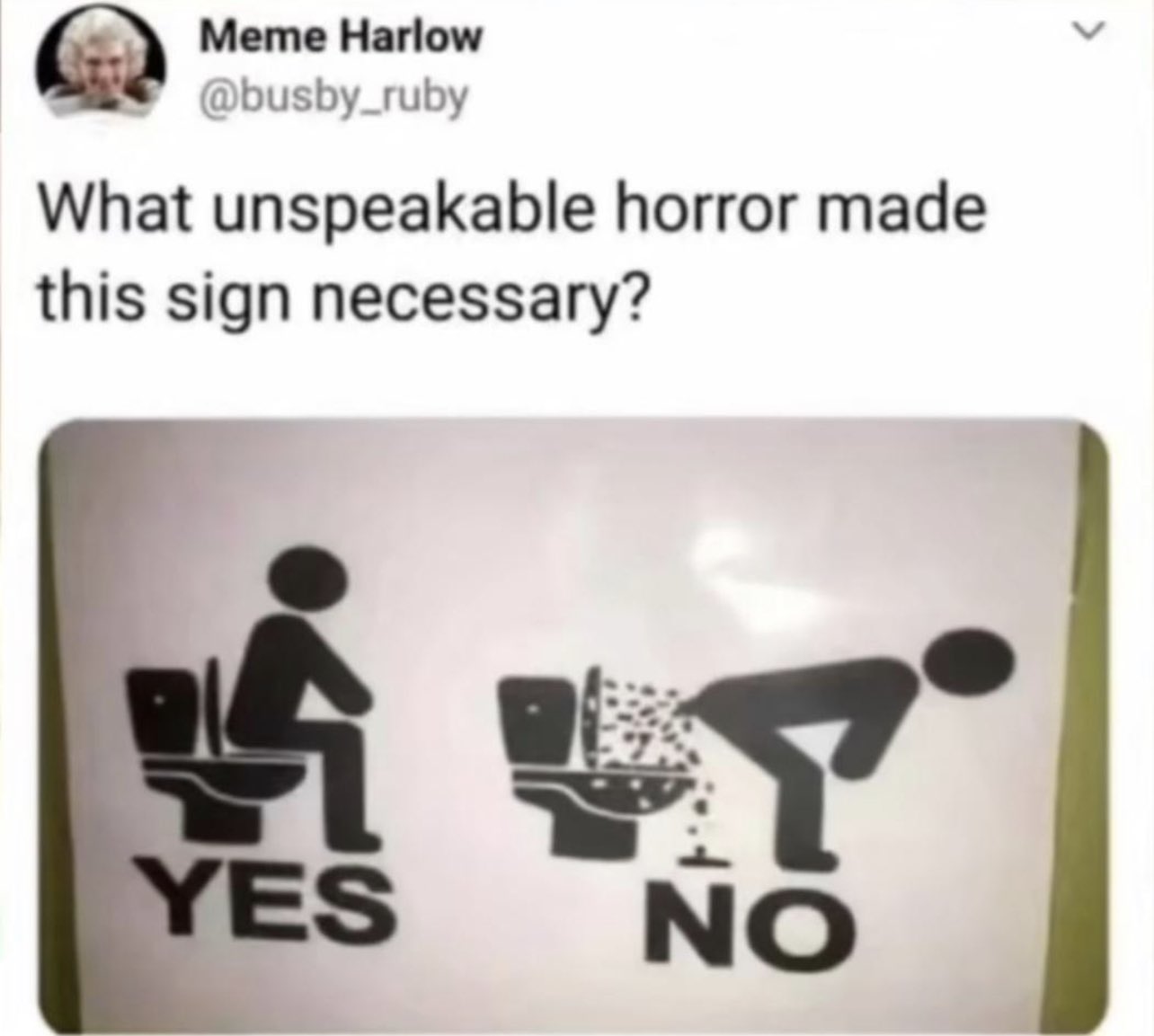 356233131_1358311305864125_373652615049563728_n