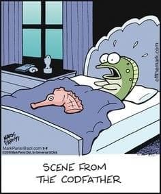 358086821_593163379663177_5933142192227024237_n