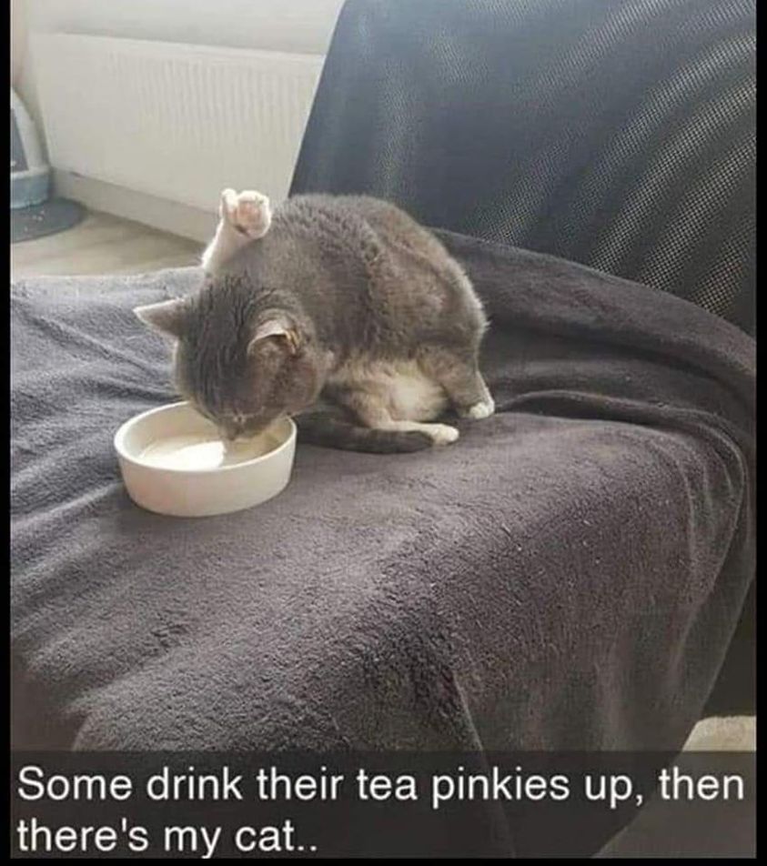 359337132_654439560061265_3005345670280609425_n