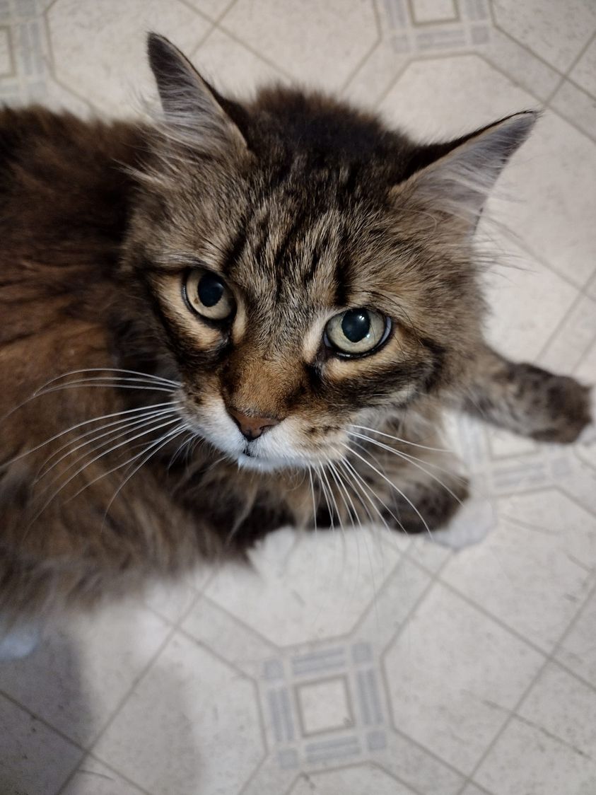 359847398_10160698797469299_3752787732900825749_n