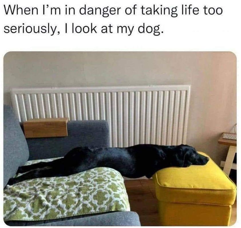 360102980_300622365686862_5721747349903630239_n