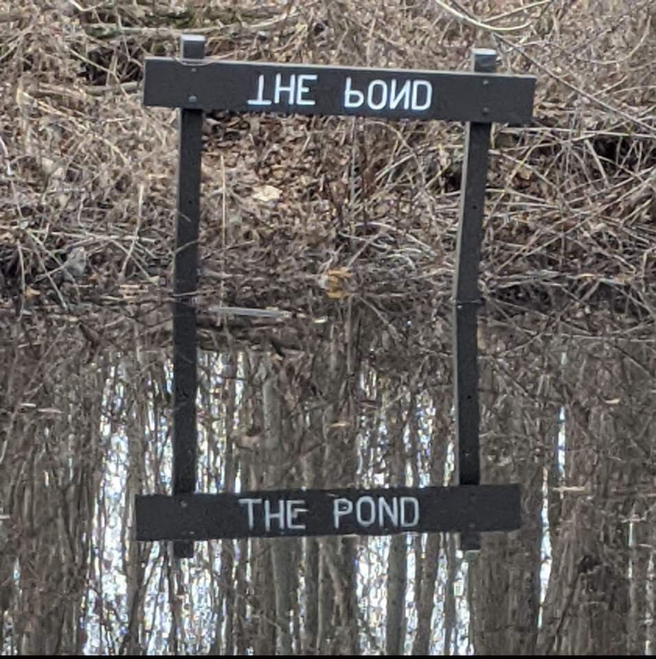 fb_img_16871302856016877013866193168611