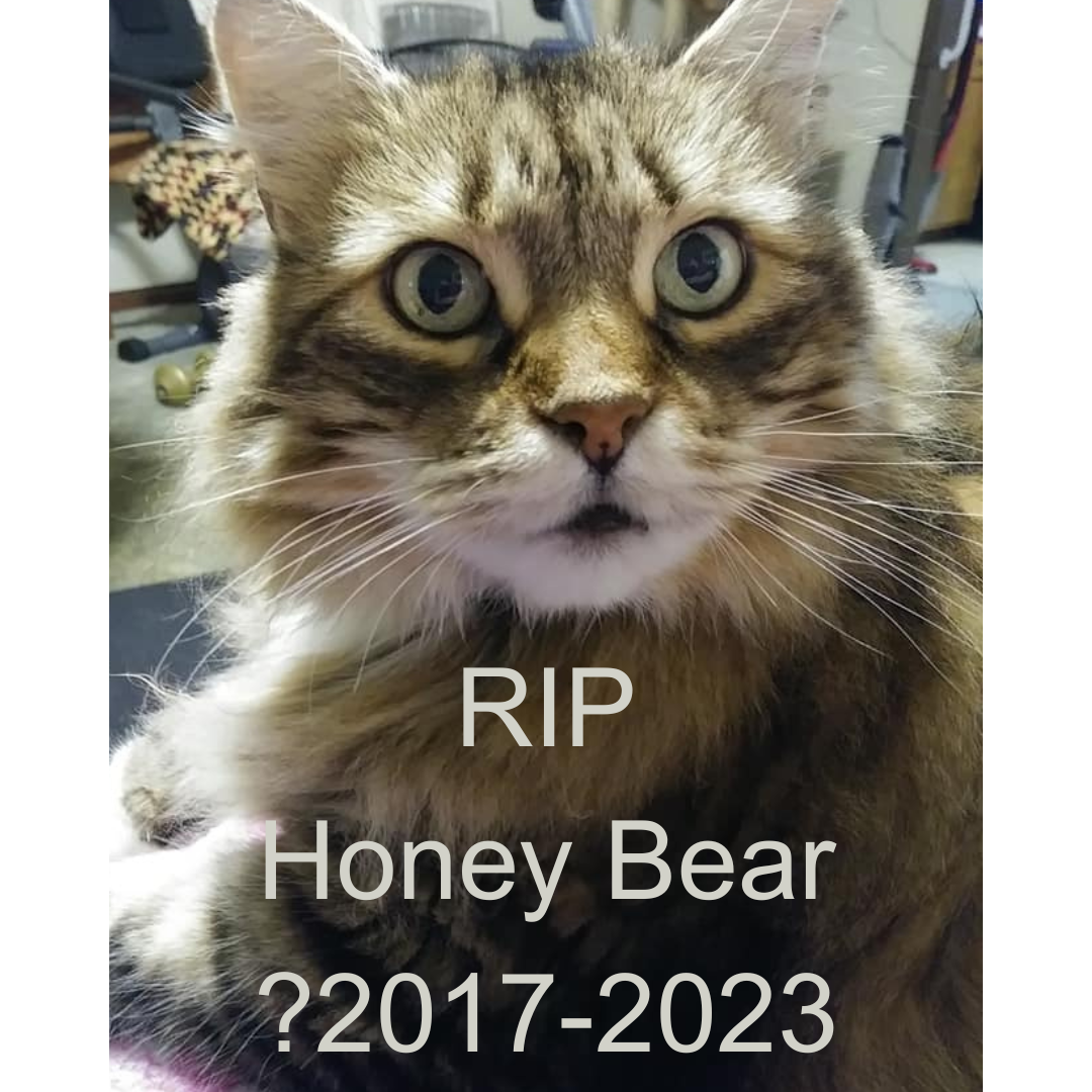 RIP Honey Bear 2017-2023 (1)
