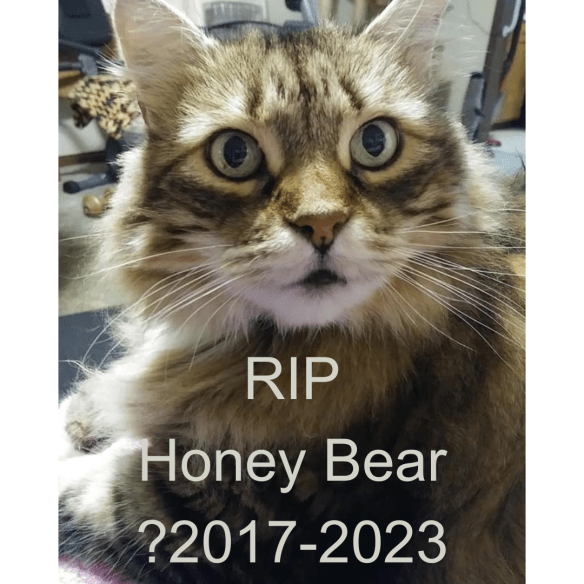 RIP Honey Bear 2017-2023 (1)