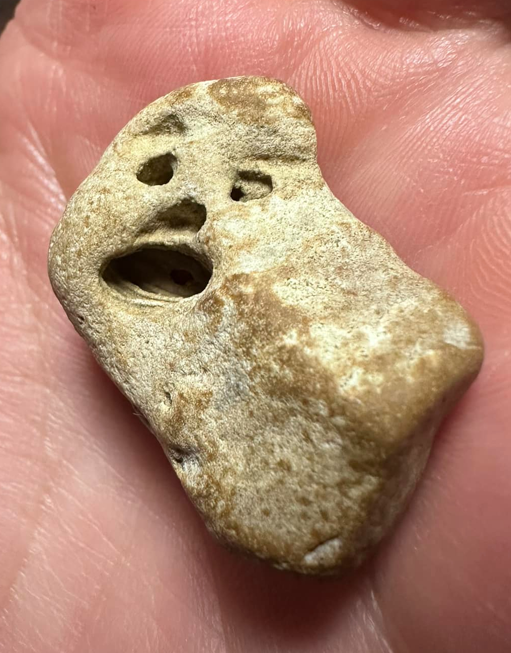 348575578_10159952018261200_3679118273701713073_n