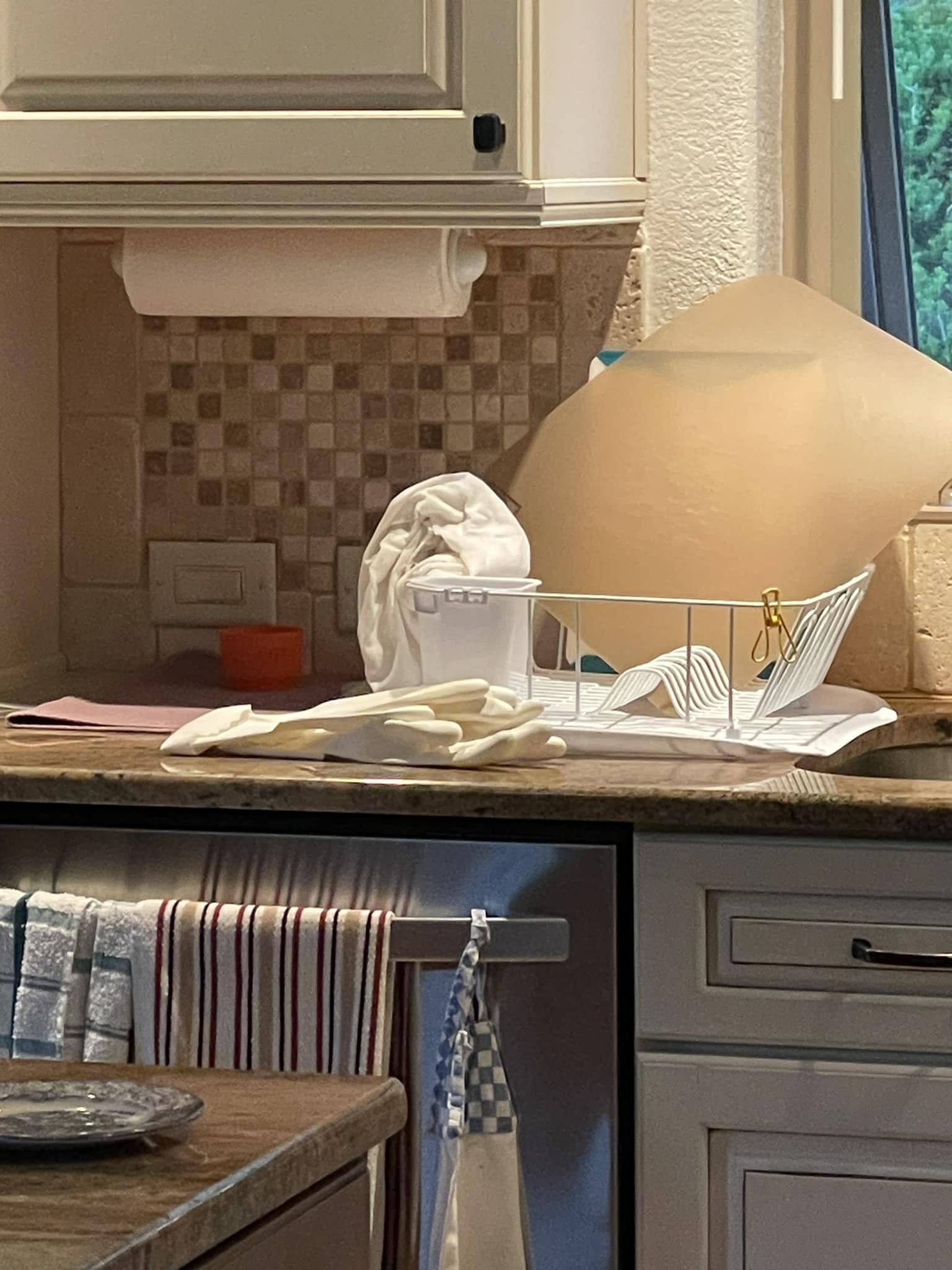 358127726_3573834969564827_6730597047057701438_n