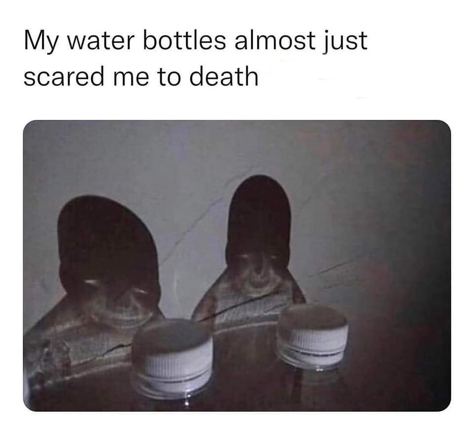 358638187_734101902056044_1830823843595111652_n