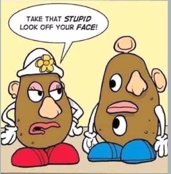 360156074_600484632264385_3139182511227500943_n