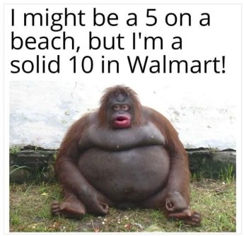 364109324_673063201515602_3310195790166377223_n