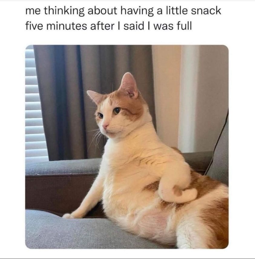 364748454_681656517338757_747898878795225987_n