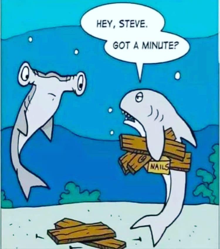 365066750_24348268778105529_1495238435916245773_n