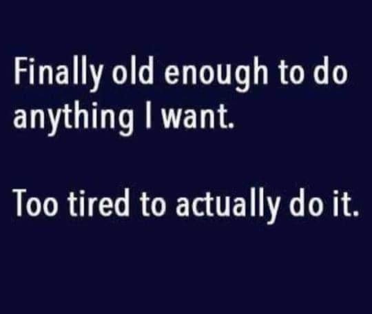 369017482_682315993923656_241858753500246289_n