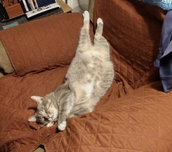 img_20230603_003854443_hdr3645541535749970673