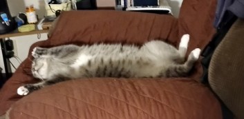 img_20230627_0030255698080095540433327453