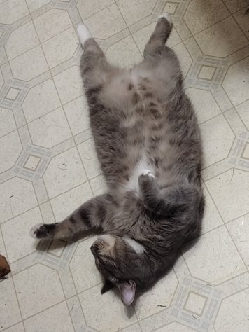 img_20230713_1812537026082003279945872790