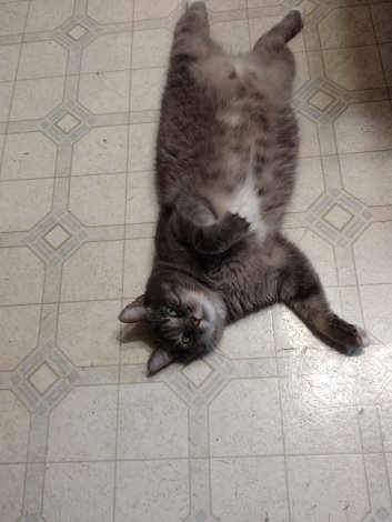 img_20230713_1813125917717156939968337938