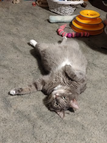 img_20230804_230535984914362786289361651