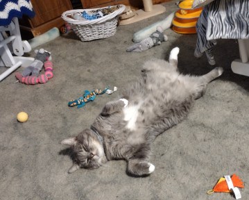 img_20230812_1221506608511183118801422486