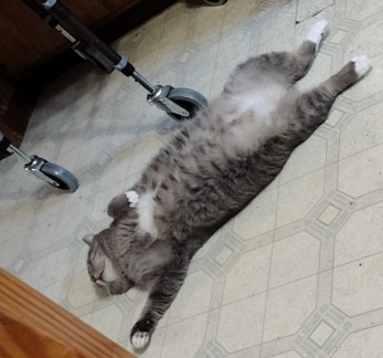 img_20230824_1510108062667976214078427476