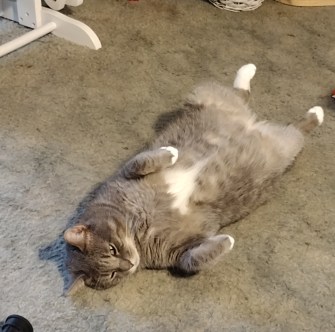 img_20230826_1318399038039118507210589841