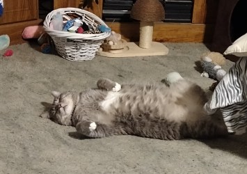 img_20230826_2324145328618487816765687979