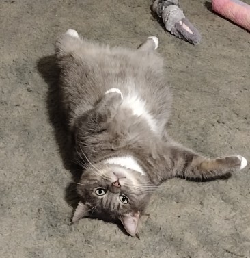 img_20230827_2238486358764314014276220442