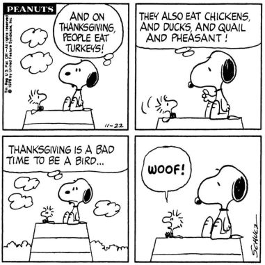 370857142_10159135007085614_5071630403638883087_n