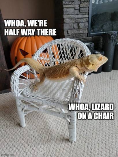 373697136_259403647050376_4912593526095106224_n